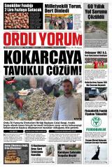 ORDU YORUM