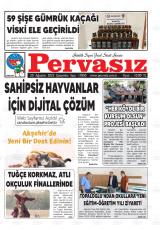PERVASIZ
