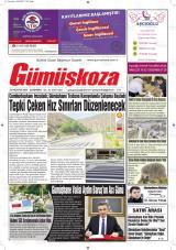GÜMÜŞKOZA
