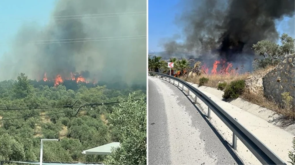 Bodrum’da orman yangını!