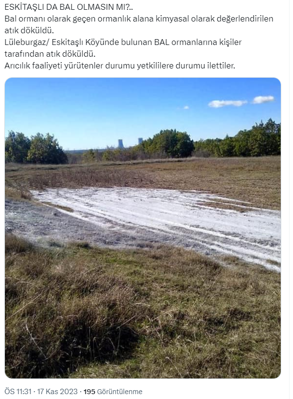 Bir esrarengiz olay! Dilan Polat'ın kremleri Lüleburgaz'daki bal ormanına mı döküldü?