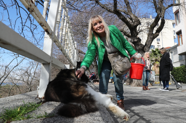 Ünlü ikizler Meral ve Zuhal kardeşler, Kadıköy Moda sokaklarında 150 kediye bakıyor