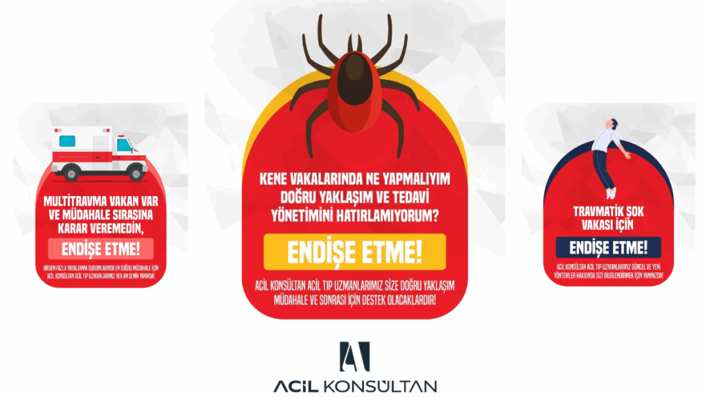 Acil Konsültan: Bir Hizmetten Fazlası