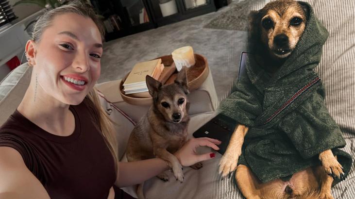 Survivor’ın Ünlü Çifti Mert Öcal ve Sude Burcu, Maya’nın Ölümüyle Yıkıldı